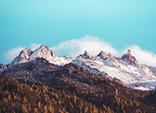 为何沃克斯成为《地狱客栈》创作者最喜爱的角色