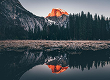 《障目 / Cling to Blindness》现已发售！