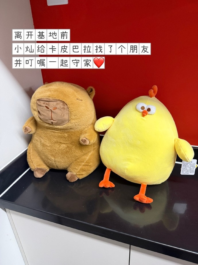 JDG分享照片回顾三月:四月继续,一起往更远的地方走